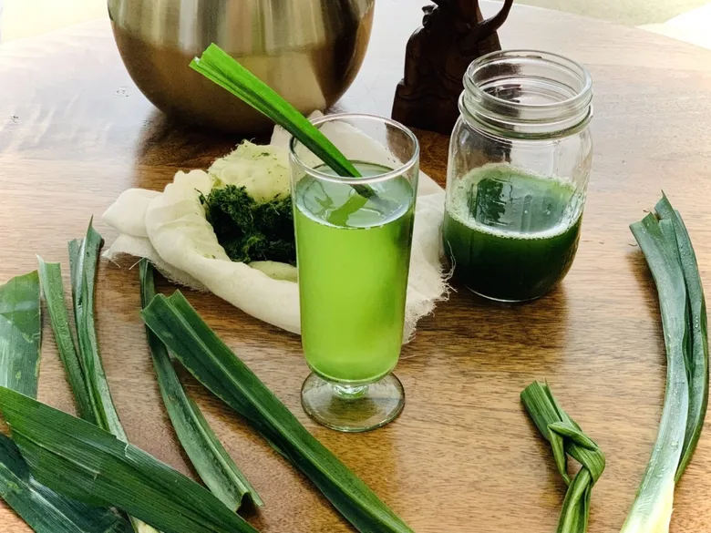 Pandan Leaves Drink: A Filipino Cuisine Gem