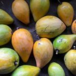 Tiesa Treats: Explore the Sweet and Creamy Possibilities