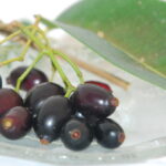 A Unique Filipino Flavor: Duhat Jam, Wine, and More