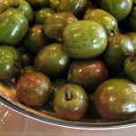 A Filipino Favorite: All About Sineguelas (Spanish Plum)