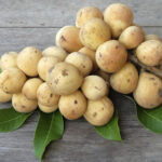 A Seasonal Delight: Recipes and Tips for Enjoying Lanzones