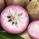 Flavor Adventures: Discover the Tropical Taste of Caimito