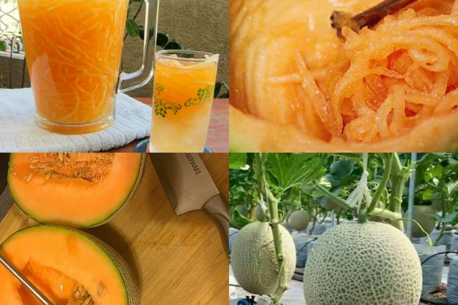 What's the Secret to a Perfect Melon Sa Malamig?