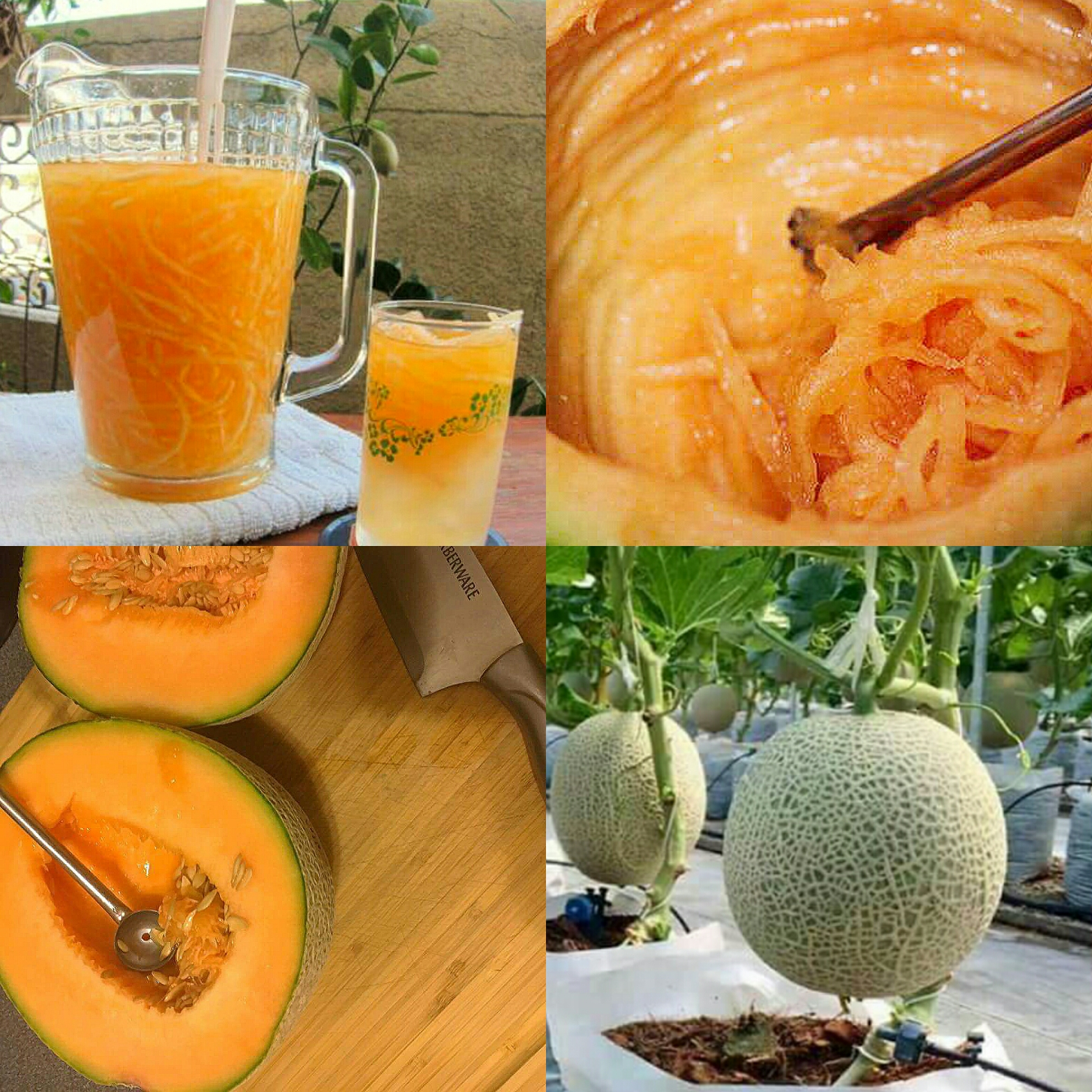 What's the Secret to a Perfect Melon Sa Malamig?