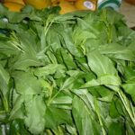 What Are Saluyot Leaves Uses in Filipino Cuisine?