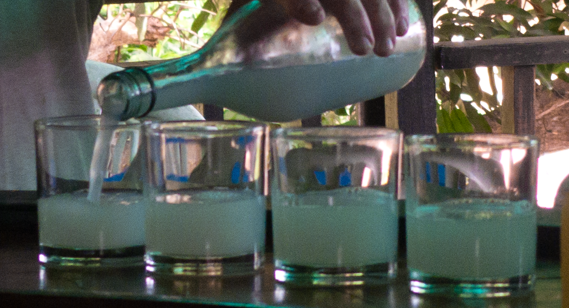 Tuba The Palm Wine of the Philippines