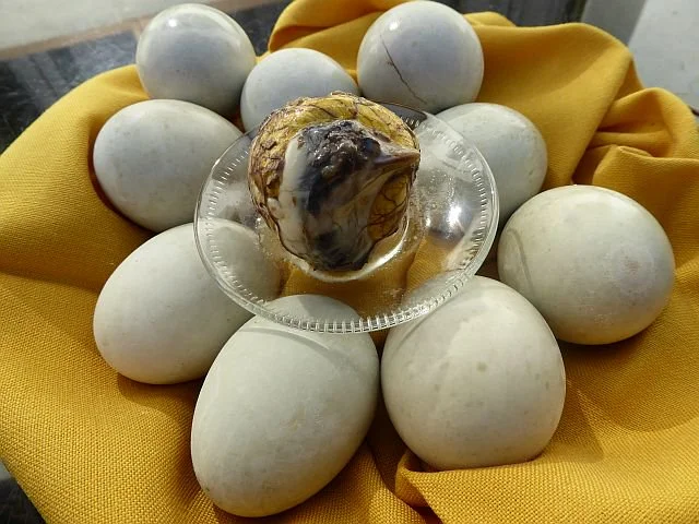 Balut: Boiled Duck Embryo