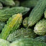 bitter gourd adobo recipes