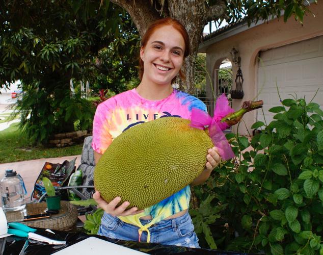 Why Include Jackfruit in Your Philippine Culinary Adventures?