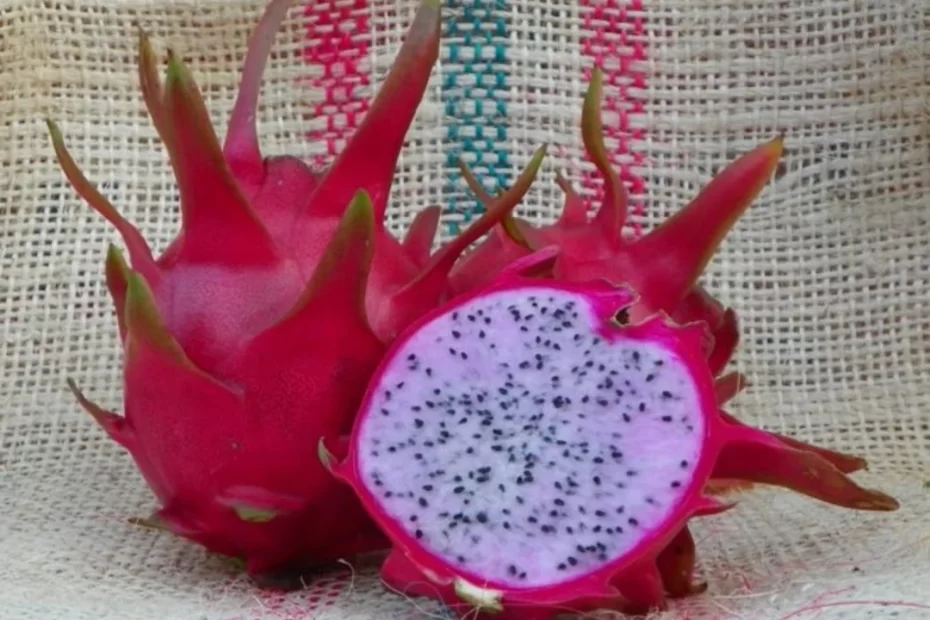 Dragon Fruit Delights: A Refreshment Guide