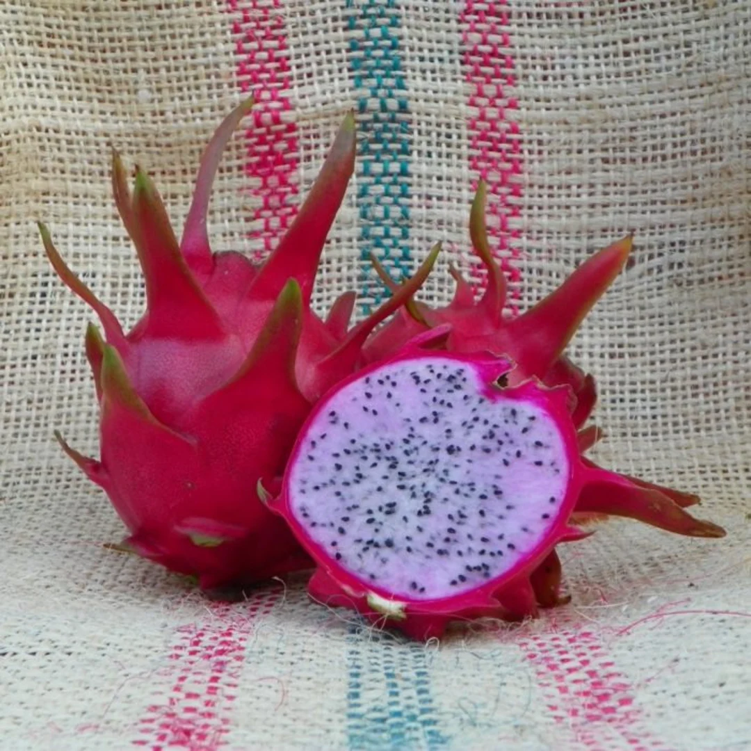 Dragon Fruit Delights: A Refreshment Guide