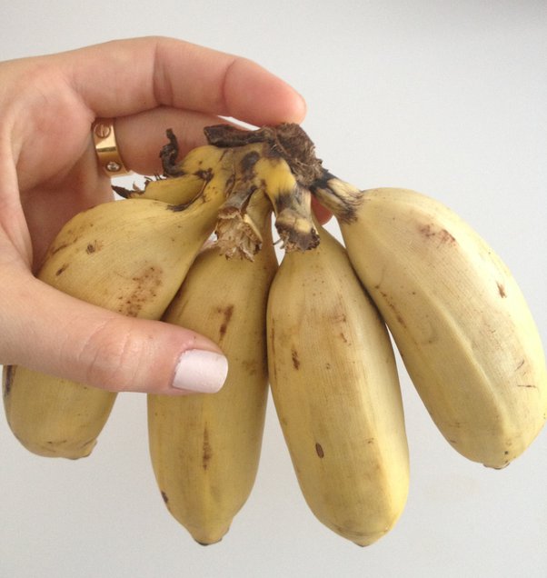 Why Choose These Banana Varieties for Kakanin?