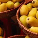 Why Choose These Sweet Mango Varieties for Snacks?