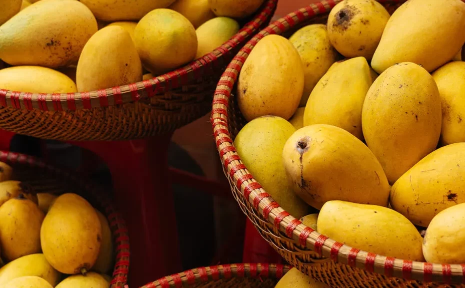 Why Choose These Sweet Mango Varieties for Snacks?